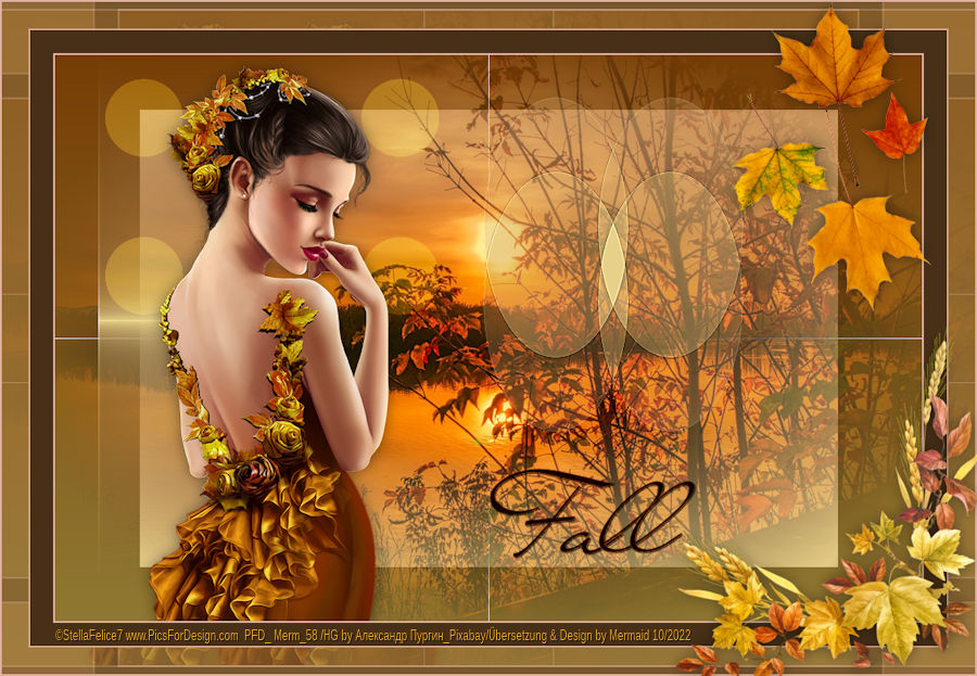 Fall and Leaves